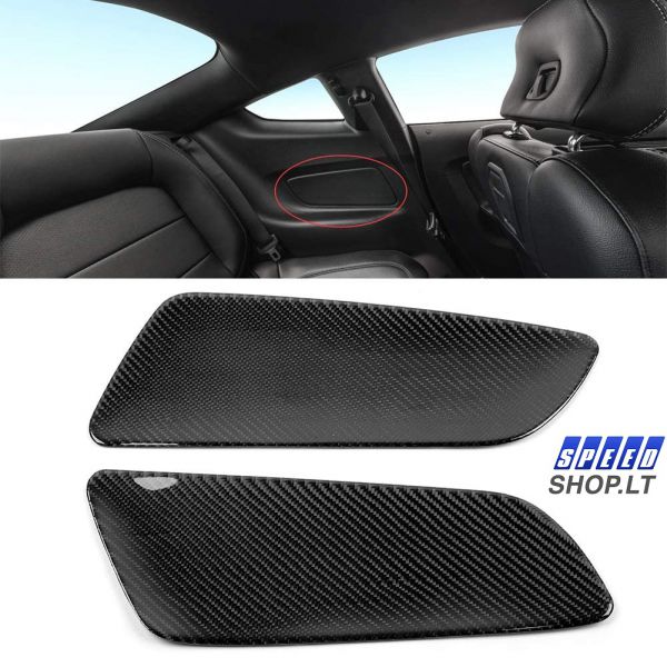 Ford Mustang galinės Carbon panelės